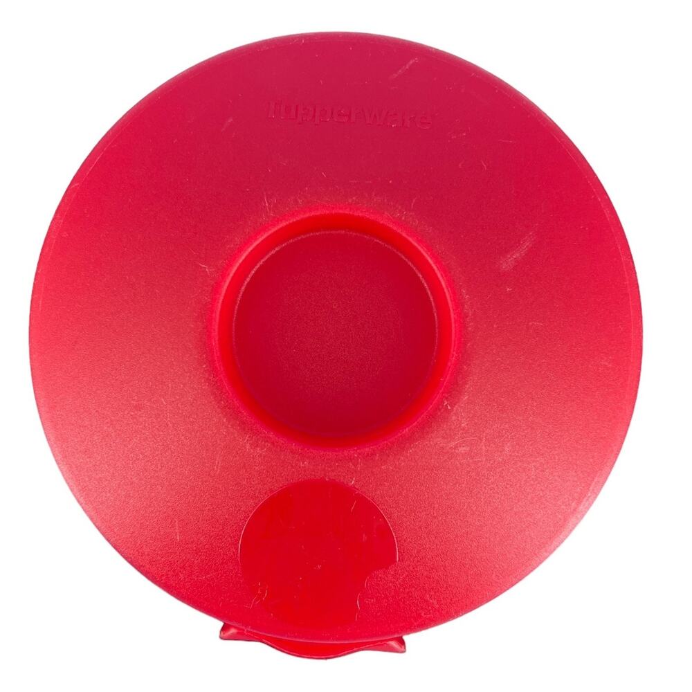 Tupperware BUNDLE Forget Me Not Hanging Cheese Onion Bagel Keeper Saver Orange - Picture 11 of 16